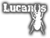 Lucanus Creación Visual